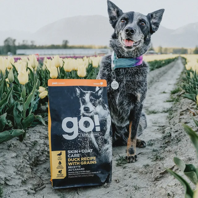 【Go!】全方位系列 3.5磅 狗狗天然糧(狗糧 狗飼料 全齡犬 燕麥 糙米 皮毛保健)