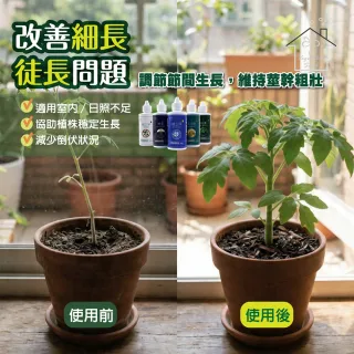 【蔬菜工坊】壯苗套組 5入 120ml 強根抗徒長 無毒除菌 草莓育苗觀葉