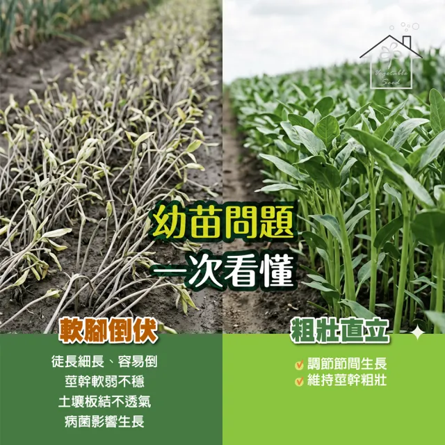 【蔬菜工坊】壯苗套組 5入 120ml 強根抗徒長 無毒除菌 草莓育苗觀葉