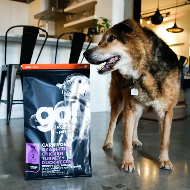 【Go!】雞肉鮭魚 22磅 老犬 高肉量系列 低卡無穀天然糧(狗糧 狗飼料 寵物食品 乾飼料)