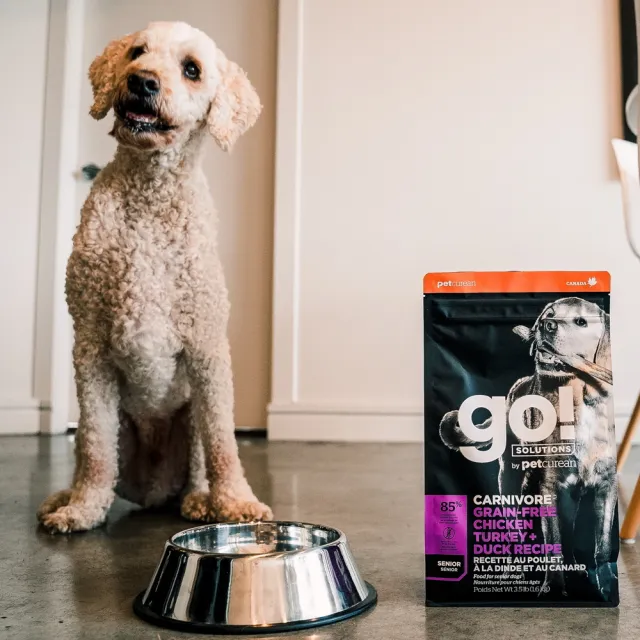 【Go!】雞肉鮭魚 22磅 老犬 高肉量系列 低卡無穀天然糧(狗糧 狗飼料 寵物食品 乾飼料)