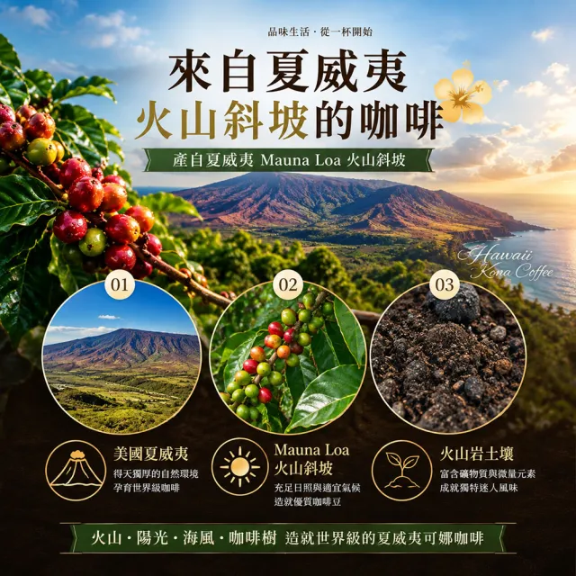 【13章】夏威夷可娜咖啡豆(225克)