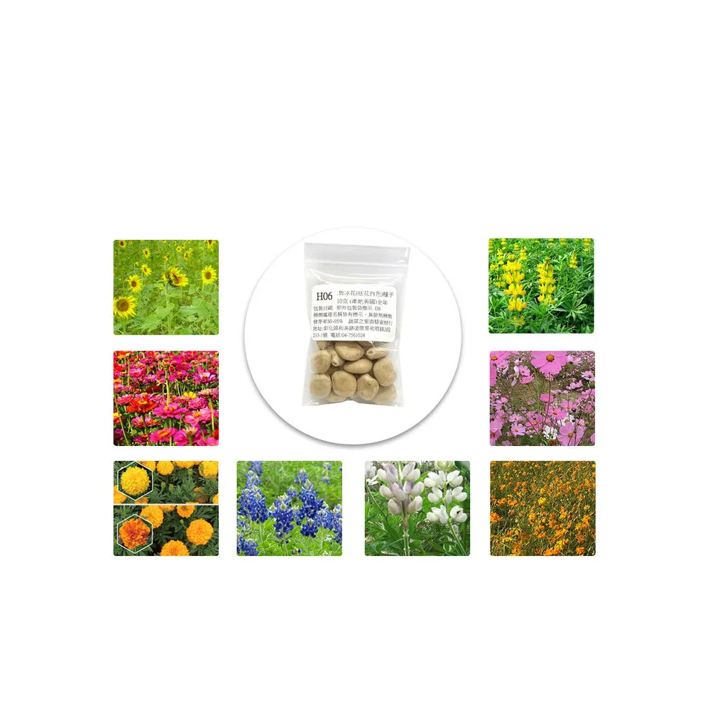 【蔬菜工坊】冬季可栽培花卉種子系列-各包裝數量詳見內文及圖片(魯冰花 波斯菊 蜀葵 金盞花)