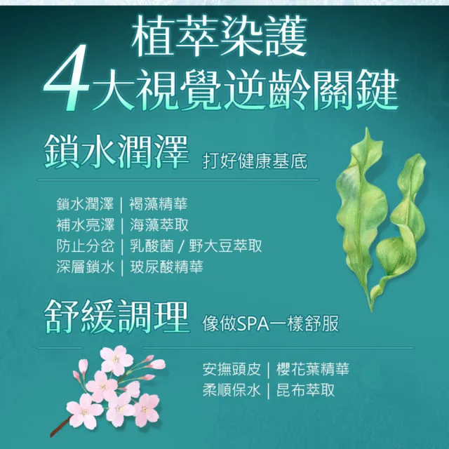 【墨之君】北海道利尻昆布白髮染升級版70gX3(榛果黑/栗子咖)