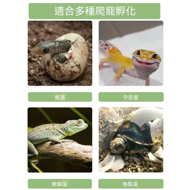 【LEZUN 樂尊】孵化櫃 爬寵孵化櫃 爬蟲孵化器 蛋孵化箱 可製冷加熱 數位控溫(大容量/玻璃透視/簡易調節)