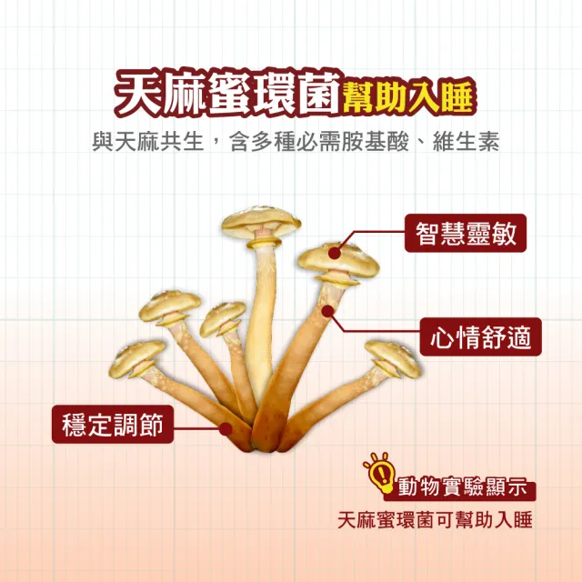 【順天本草】長大人成長膠囊 活力加分組-女方(成長膠囊60顆/盒x2-青木瓜、成長關鍵、順天堂集團、調整體質)