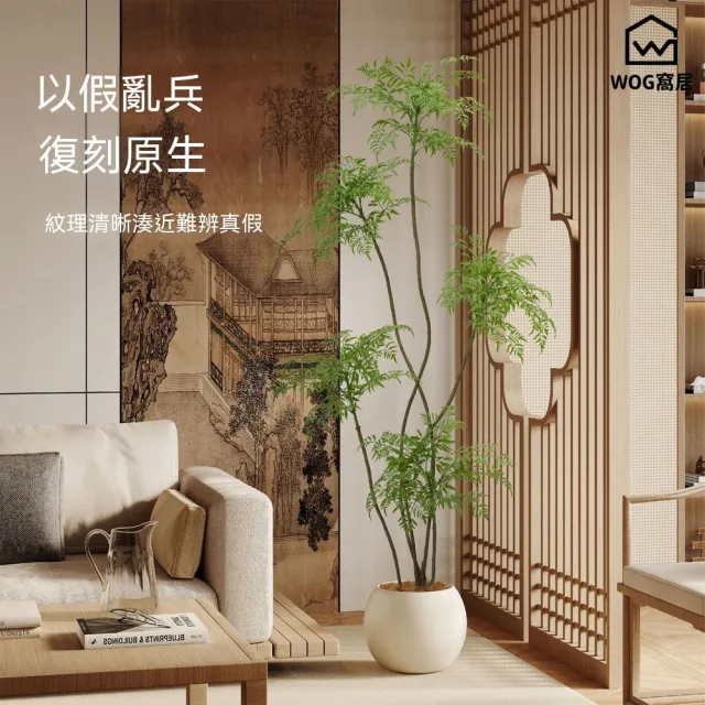 【窩居】仿真綠植 福祿桐盆栽 室內盆栽 客廳綠植 植物擺件 家居擺件 玄關裝飾 仿真盆栽（2M）
