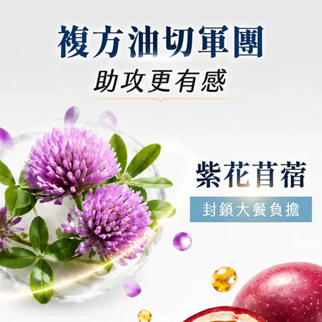 【iVENOR】十時塑花草茶-青汁x9盒(10包/盒 廖家儀有感推薦)