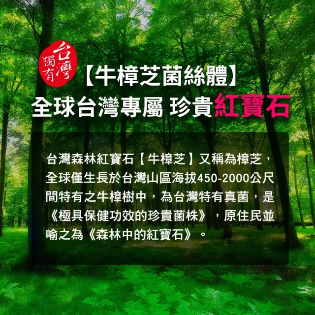 【葡萄王】樟芝王菌絲體膠囊x6瓶 共600粒(樟芝多醣9% 牛樟芝 葡萄王官方)
