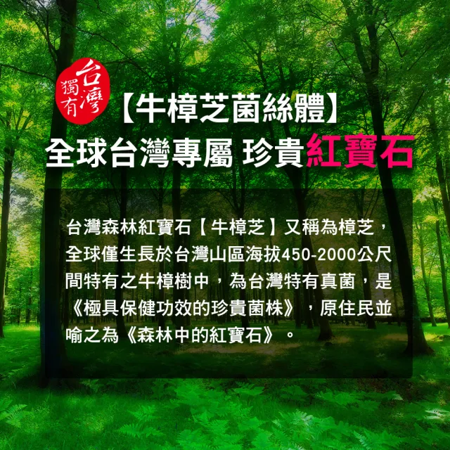 【葡萄王】樟芝王菌絲體膠囊x3瓶 共300粒(樟芝多醣9% 牛樟芝 葡萄王官方)