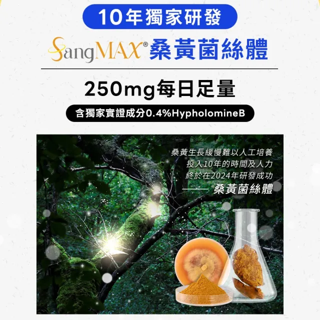 【葡萄王】超極薑黃MAX複方膠囊 60粒3入組 共180粒(薑黃 胡椒鹼 桑黃)