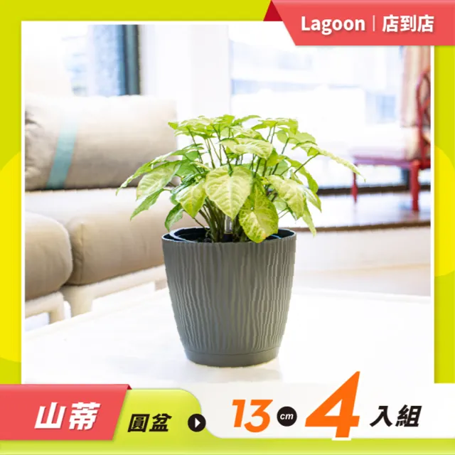 【Lagoon】園藝花盆優惠套組/山蒂圓盆13cm4入組