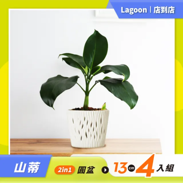 【Lagoon】園藝花盆優惠套組/山蒂2in1圓盆13cm4入組