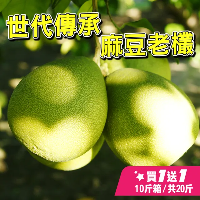 【台灣紅】麻豆60年極品文旦10斤x2盒(頂級老欉小果_12-20顆/10斤/中秋禮盒_共20斤_中秋柚子)