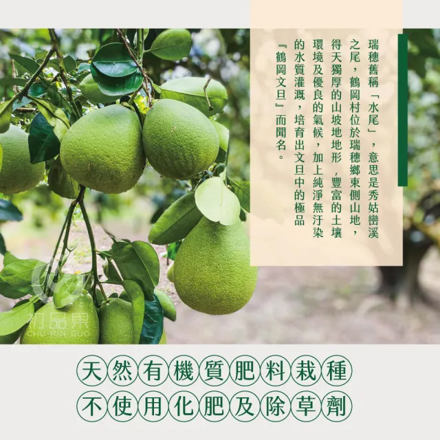 【初品果】花蓮鶴岡海伯精品老欉文旦禮盒10斤10-14顆x1箱(小果_中秋禮盒_好友揪團_企業送禮)