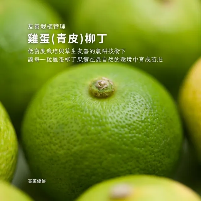 【賞菓優鮮】台南正老欉古早味雞蛋柳丁精美禮盒1箱(55-75粒/10斤)(金秋寒露限定_產地鮮採直送)