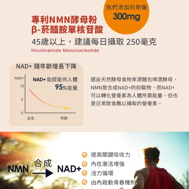 即期品【世華生技】龜鹿葡萄糖胺PLUS+(20包/盒 1800高含量葡萄糖胺 NMN酵母粉 二型膠原蛋白 薑黃)