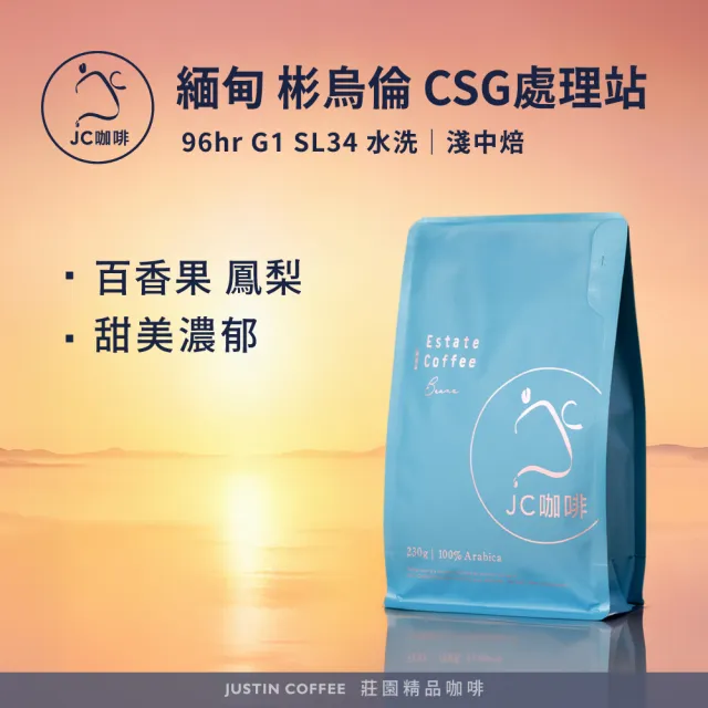 【JC咖啡】緬甸 彬烏倫 CSG處理站 96hr G1 SL34 水洗 咖啡豆1包│淺中焙(半磅;230g;莊園咖啡 新鮮烘焙)