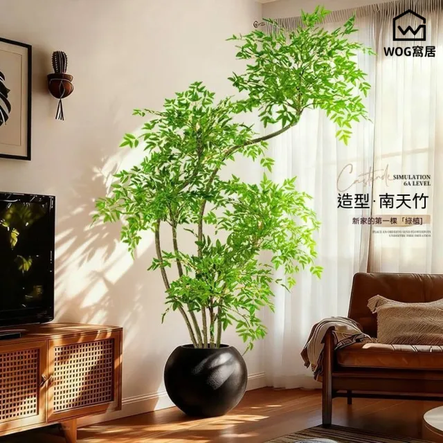 【窩居】仿真南天竹 仿真綠植 落地植物 客廳擺件 家居裝飾 裝飾綠植 仿真植物(2M5桿)