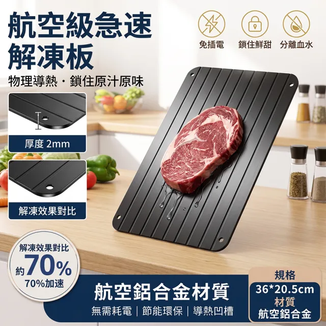 YISO易搜 解凍板 快速解凍盤 肉類解凍板 家戶兩用 不耗水電 導熱凹槽(交換導熱/圓滑邊角/一板多用)