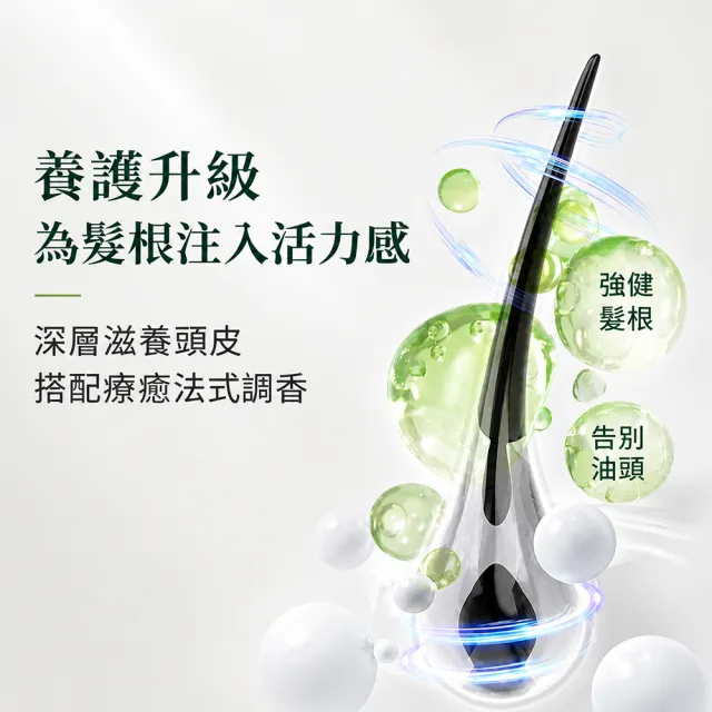 【Luxeol 樂絲歐】60天雙洗一護實用組 (頭皮6561養護洗髮露/洗髮精*2+頭皮舒活護髮乳*1)