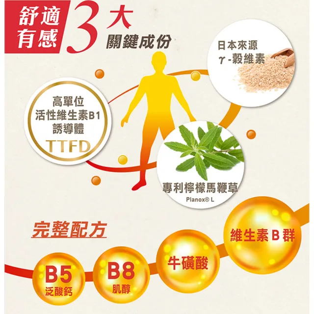 【台塑生醫醫之方】長釋B群EX PLUS加強錠x5瓶(共300錠-李李仁代言-高單位維生素B群.檸檬馬鞭草.7天舒緩)