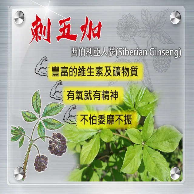 【YouBest 優倍多】A+男性強健複方軟膠囊 3入組(共180粒 瑪卡 南瓜籽油  刺五加 男性保健 鋅 禮盒)
