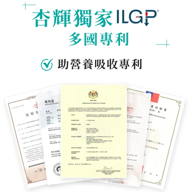 【YouBest 優倍多】強力苦瓜胜肽膠囊 2入(共120粒-苦瓜含量三粒1020mg ILGP專利成分 雙向調節)