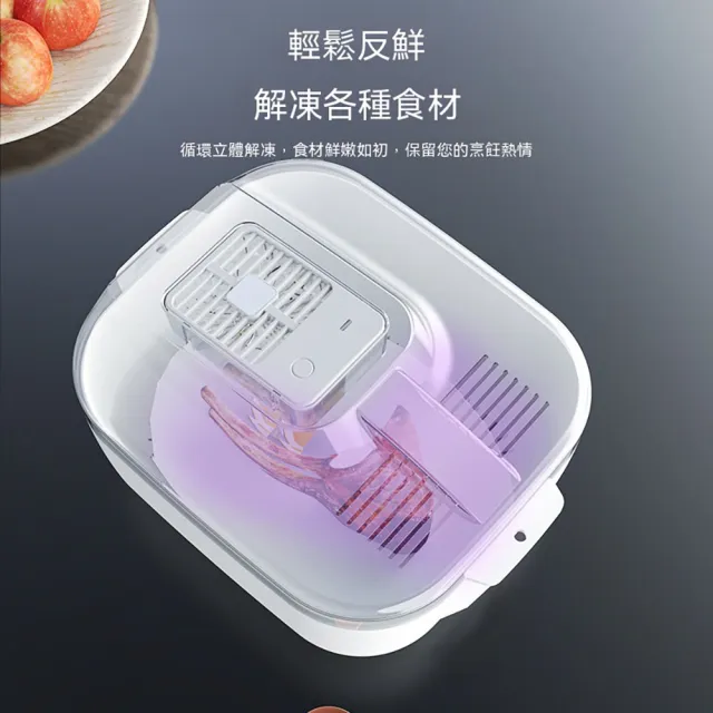 YISO易搜 解凍器 食物解凍機 食材解凍盒 食材化冰機 快速化冰 循環風解凍(四合一/低噪音/分離瀝水)