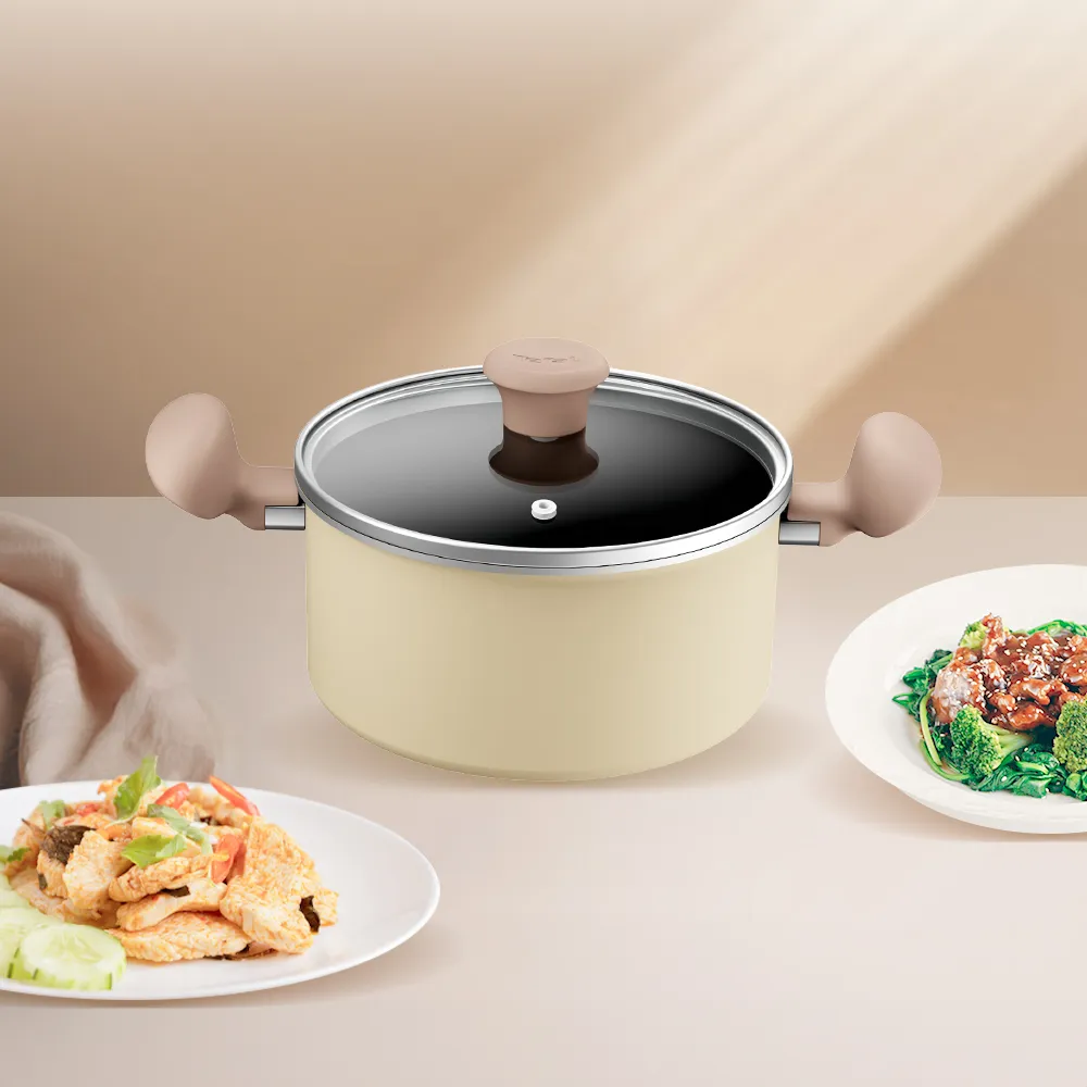 【Tefal 特福】Daisy系列20CM不沾鍋雙耳湯鍋-加蓋(IH爐可用鍋/電磁爐適用)