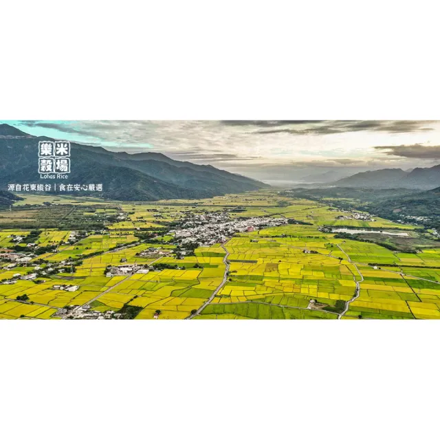 【樂米穀場】台東一等關山好米9KG / 中元普渡拜拜