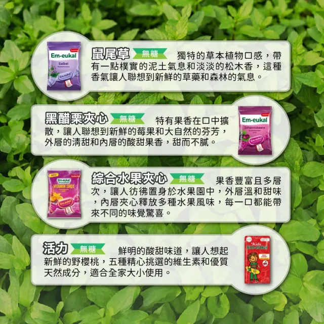 【德風健康館】德國索丹潤喉糖75g*3包(提神 潤喉糖果 口氣芬芳)