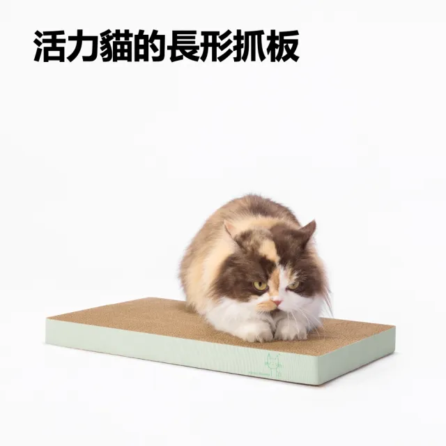 【maison choupette】貓野仙蹤 2組入多貓家庭貓抓板_長款森林系列_ 耐抓不易掉屑