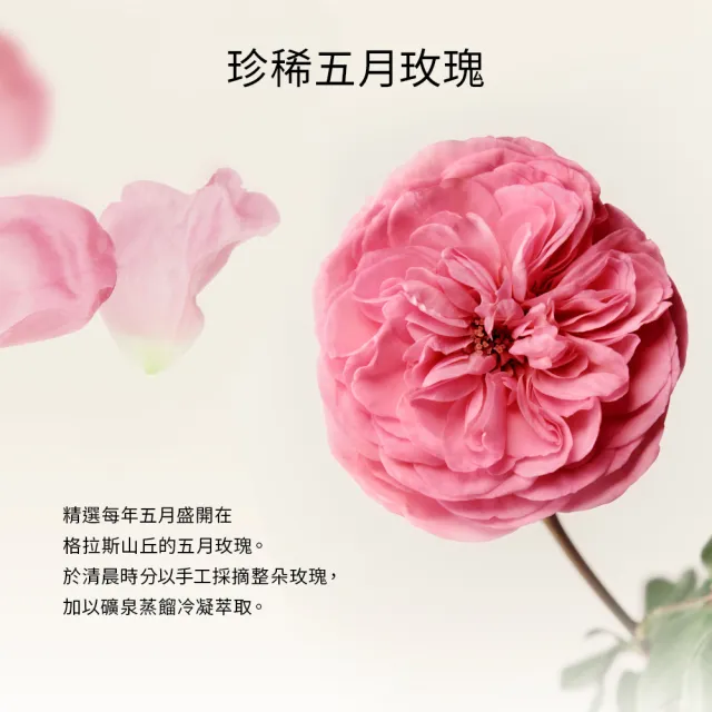 【CHANTECAILLE 香緹卡】五月玫瑰花妍露 100ml(玫瑰純露/化妝水/保濕噴霧)