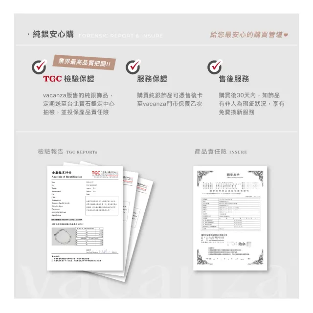 【vacanza】925純銀飾品｜蝶飛小鑽 純銀耳環 (抗過敏 七夕禮物 生日禮物)