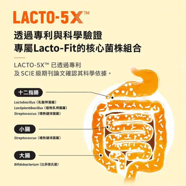 【韓國鍾根堂】LACTO-FIT GOLD 益生菌粉末食品 大童與成人款120入-三入組