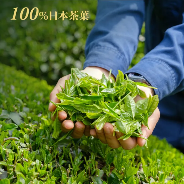 【IRIS】RYOKU綠綠茶500mlx24入/箱(官方直營/日本進口/日本茶葉/綠茶/茶葉/日本茶/即飲茶)