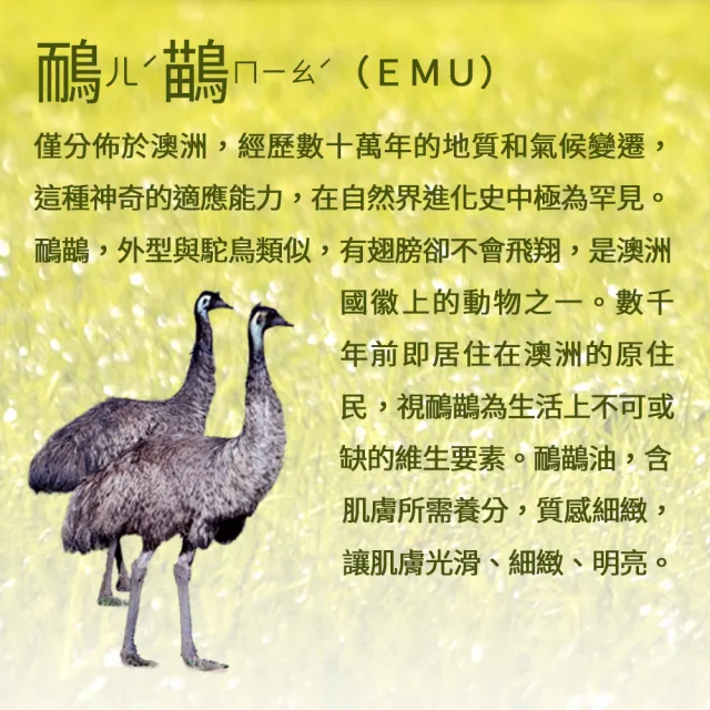 【Jollyard 潔麗雅】鴯苗鳥極潤潤膚乳液(250ml x三瓶)