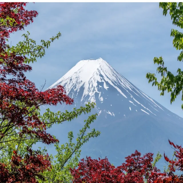 樂桃東京五日純機票｜10/23-03月早去晚回贈網卡+行李託運20公斤-單人券