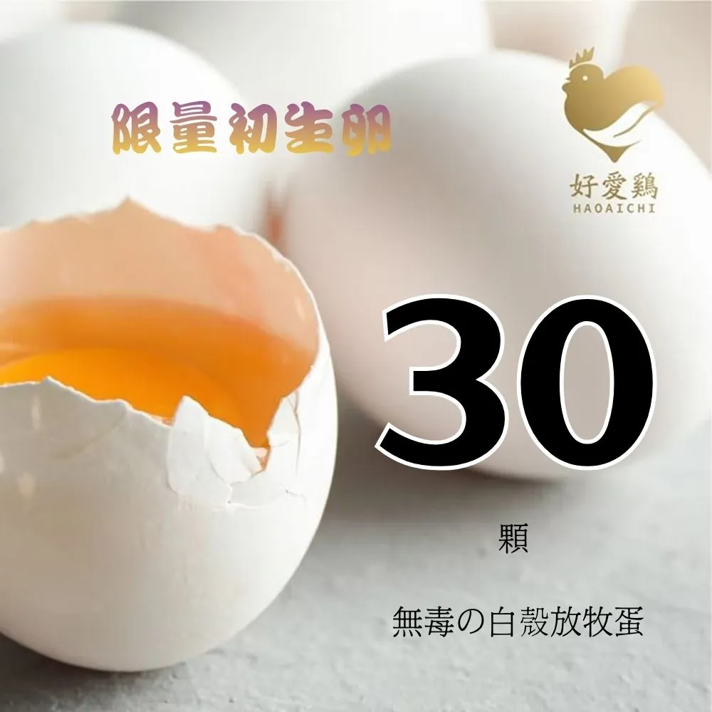 【HAOAICHI 好愛雞】限量初生卵 無毒の白殼放牧蛋 小家庭3盒 共30顆組(10顆/盒 非籠飼無藥殘無毒飼料 雞蛋)