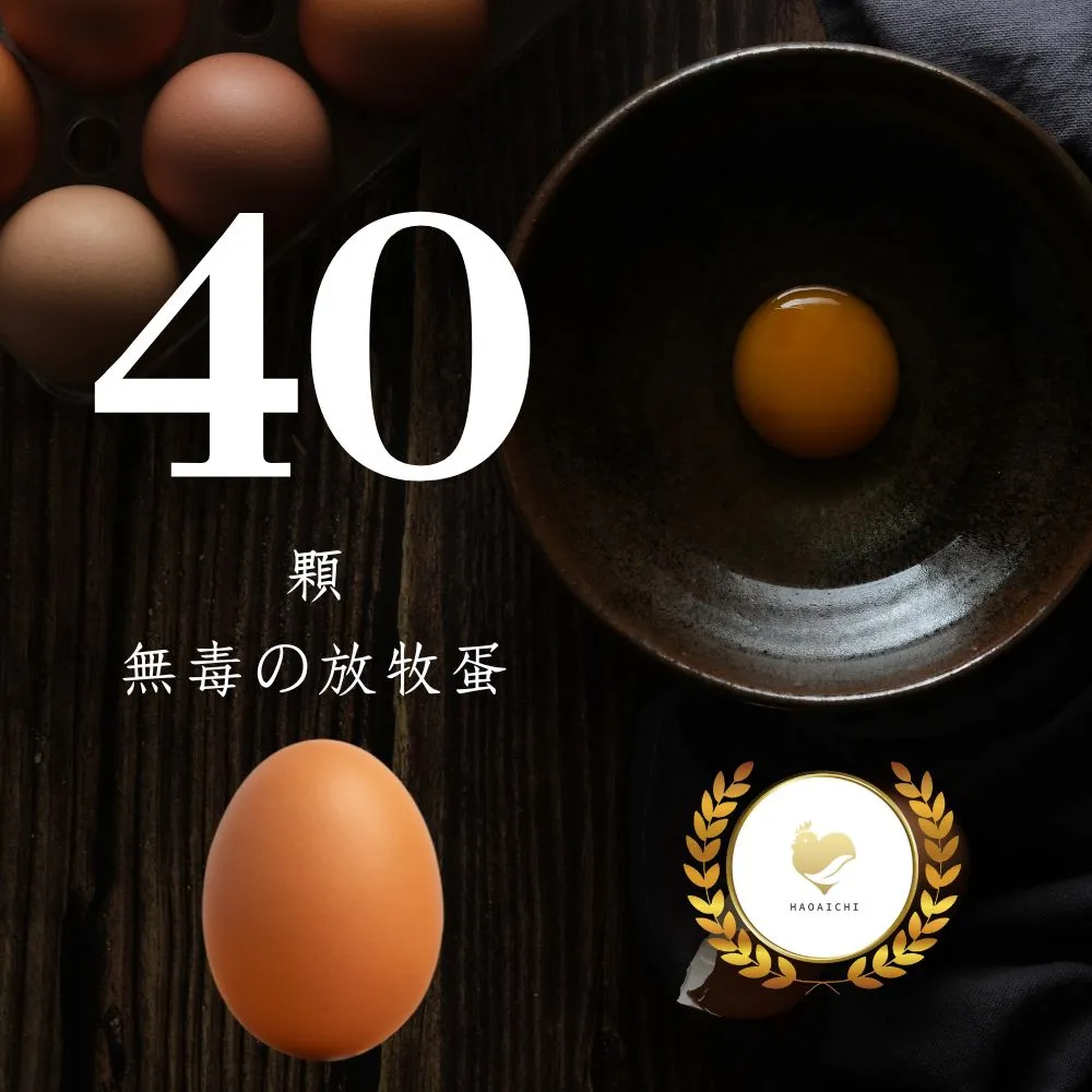 【HAOAICHI 好愛雞】無毒の放牧蛋 紅殼 小家庭4盒 共40顆(10顆/盒)非籠飼 無藥殘 無毒飼料 雞蛋