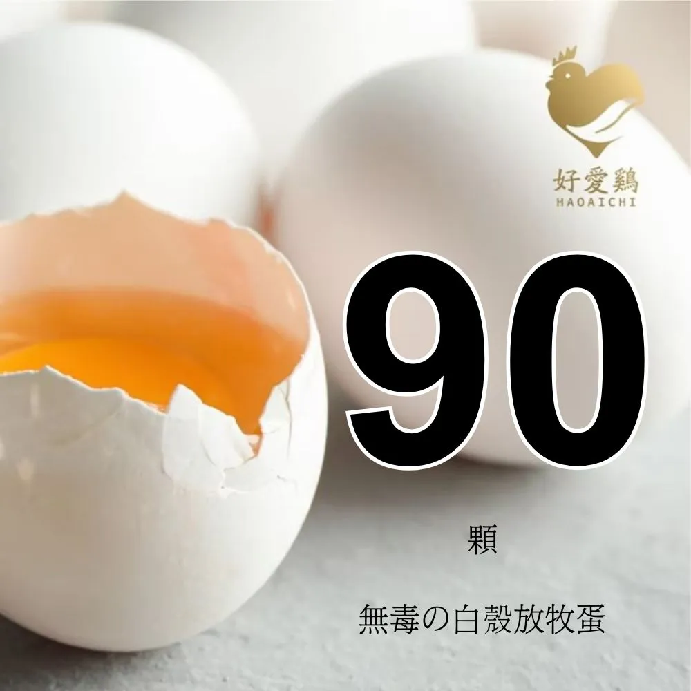 【HAOAICHI 好愛雞】無毒の白殼放牧蛋 大家庭3盤 共90顆(30顆/盤)非籠飼 無藥殘 無毒飼料 雞蛋