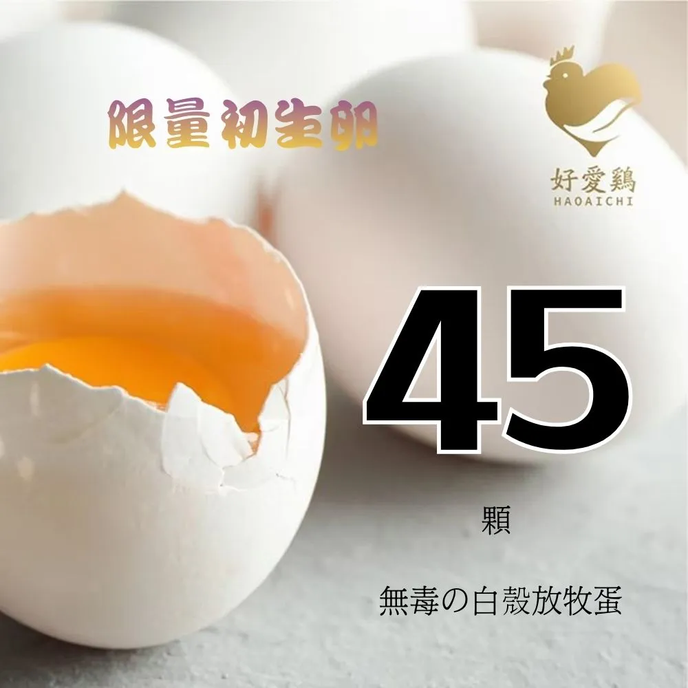 【HAOAICHI 好愛雞】限量初生卵 無毒の白殼放牧蛋 小家庭單盤 共45顆組(45顆/盤)非籠飼無藥殘無毒飼料 雞蛋