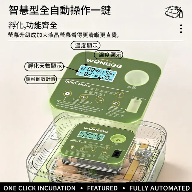 HOMI 好米居家 全自動孵蛋器 12枚 家用小型孵化器 智慧控溫控濕 自動翻蛋照蛋 雞鴨鵪鶉孵化機