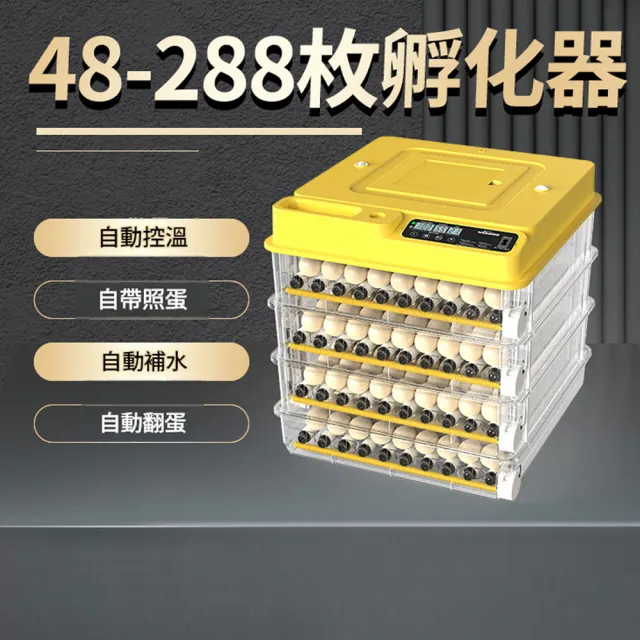 HOMI 好米居家 全自動孵蛋器 268枚 中型孵化器 智慧控溫 自動補水翻蛋 照蛋功能 雞鴨鵪鶉孵化機