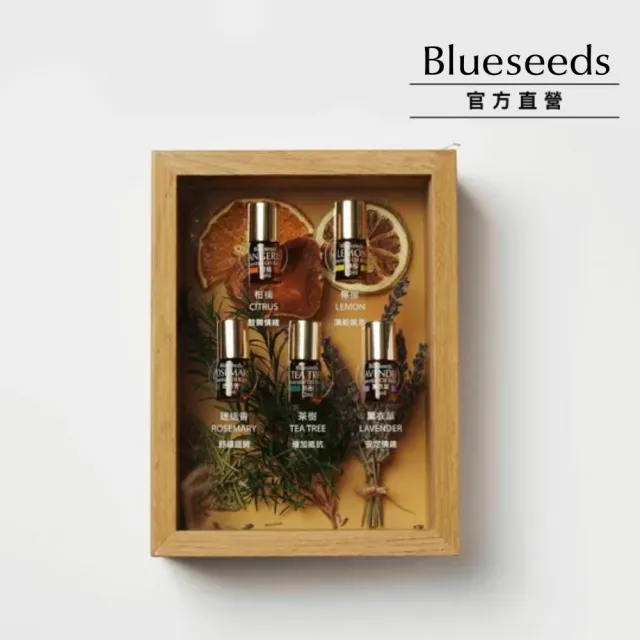 【Blueseeds】每日舒活滾珠按摩精油組5支入(薰衣草/柑橘/茶樹/迷迭香/檸檬)｜芙彤園