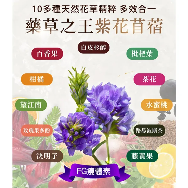 【iVENOR】十時塑花草茶-綜合口味12盒(冷熱沖泡 促進代謝)