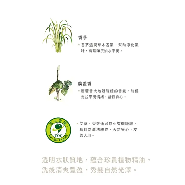 【阿原】艾草洗頭水500mLx2(洗髮精)(清潔同時保養)