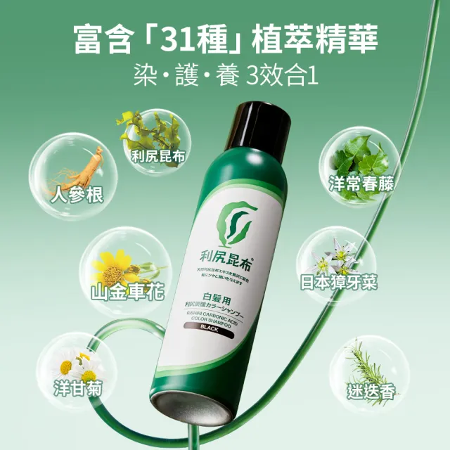【Sastty】3入組-白髮專用利尻昆布染髮慕斯180g(碳酸遮白/滋養頭皮/修護髮絲)