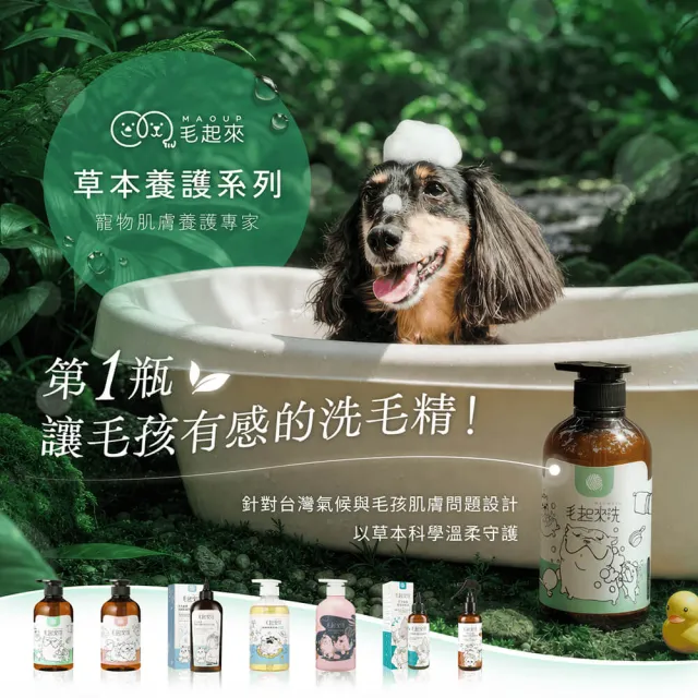【MAOUP 毛起來】草本養護 癢癢退散寵物洗毛精 汪汪專用500ml 3罐組(狗洗毛精 狗沐浴乳)